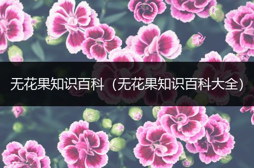 无花果知识百科（无花果知识百科大全）