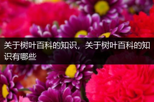 关于树叶百科的知识，关于树叶百科的知识有哪些