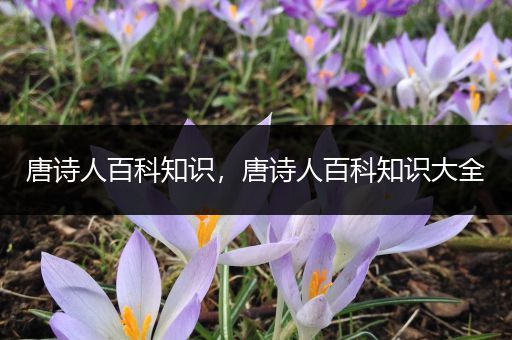 唐诗人百科知识，唐诗人百科知识大全