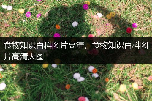 食物知识百科图片高清，食物知识百科图片高清大图