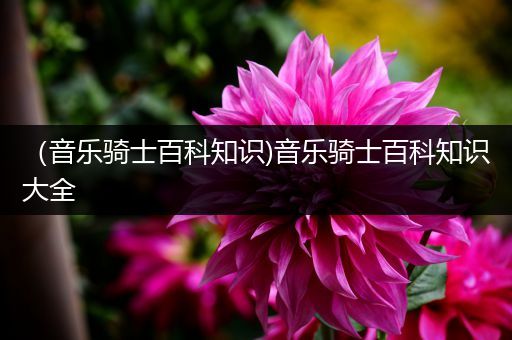 （音乐骑士百科知识)音乐骑士百科知识大全