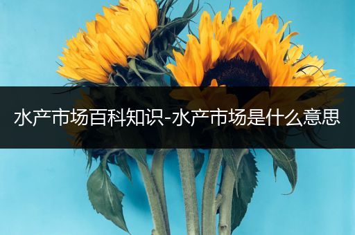 水产市场百科知识-水产市场是什么意思