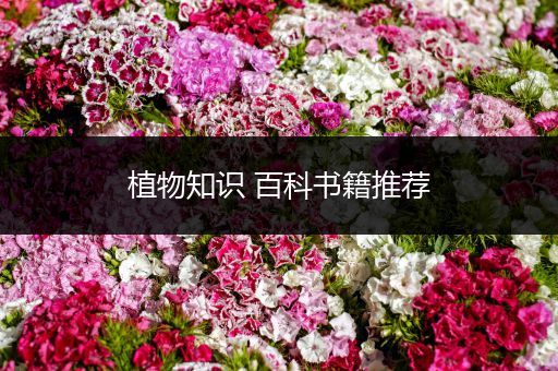 植物知识 百科书籍推荐