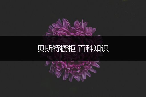 贝斯特橱柜 百科知识