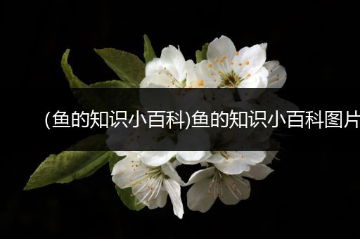 （鱼的知识小百科)鱼的知识小百科图片