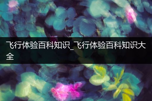 飞行体验百科知识_飞行体验百科知识大全