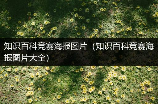 知识百科竞赛海报图片（知识百科竞赛海报图片大全）