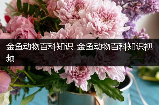 金鱼动物百科知识-金鱼动物百科知识视频