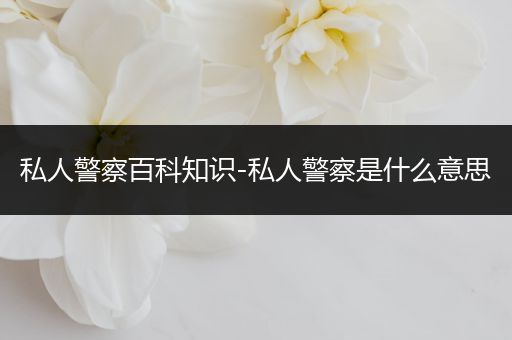私人警察百科知识-私人警察是什么意思