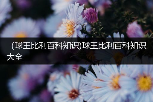 （球王比利百科知识)球王比利百科知识大全