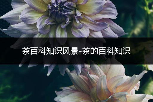 茶百科知识风景-茶的百科知识