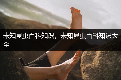 未知昆虫百科知识，未知昆虫百科知识大全