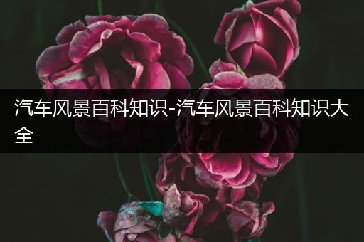 汽车风景百科知识-汽车风景百科知识大全