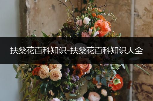 扶桑花百科知识-扶桑花百科知识大全