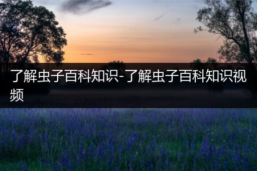了解虫子百科知识-了解虫子百科知识视频