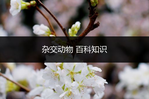 杂交动物 百科知识