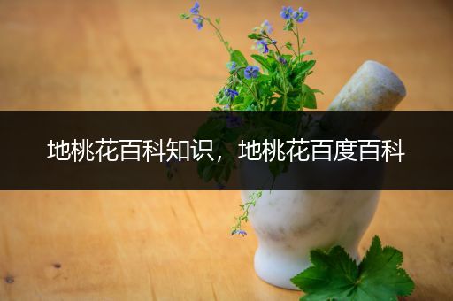 地桃花百科知识，地桃花百度百科