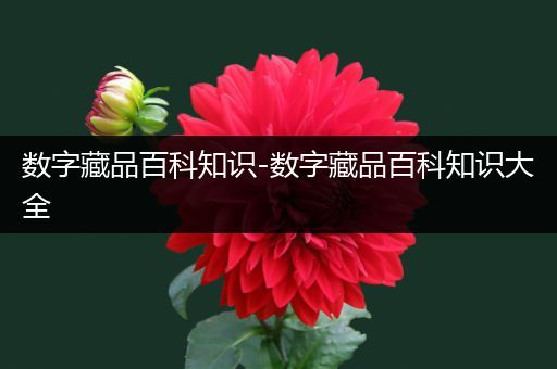 数字藏品百科知识-数字藏品百科知识大全