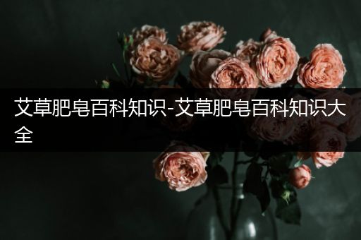 艾草肥皂百科知识-艾草肥皂百科知识大全
