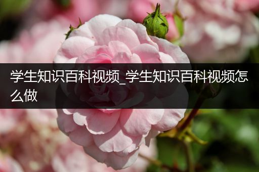 学生知识百科视频_学生知识百科视频怎么做
