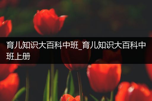 育儿知识大百科中班_育儿知识大百科中班上册