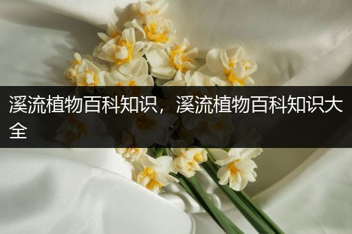 溪流植物百科知识，溪流植物百科知识大全