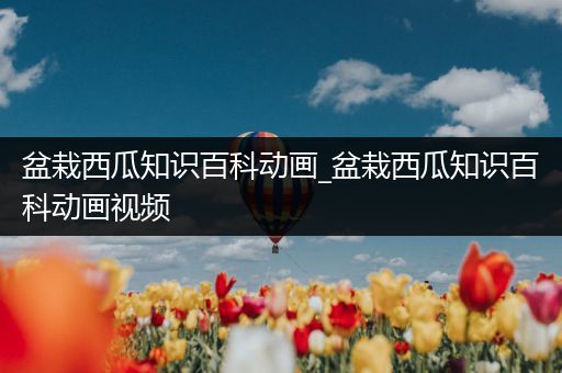 盆栽西瓜知识百科动画_盆栽西瓜知识百科动画视频