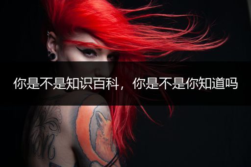 你是不是知识百科，你是不是你知道吗