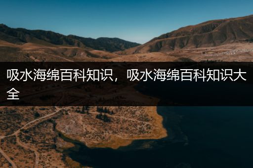 吸水海绵百科知识，吸水海绵百科知识大全