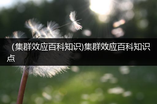 （集群效应百科知识)集群效应百科知识点