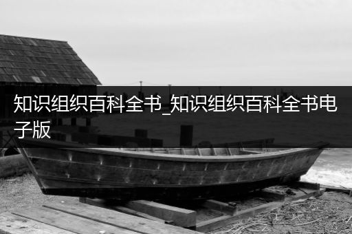 知识组织百科全书_知识组织百科全书电子版