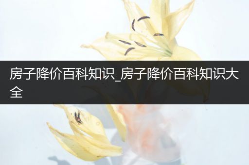 房子降价百科知识_房子降价百科知识大全