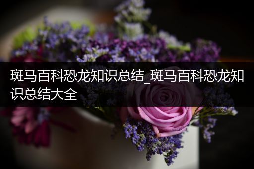 斑马百科恐龙知识总结_斑马百科恐龙知识总结大全
