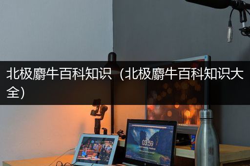 北极麝牛百科知识（北极麝牛百科知识大全）