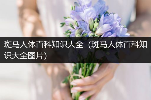 斑马人体百科知识大全（斑马人体百科知识大全图片）