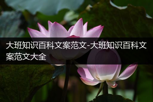 大班知识百科文案范文-大班知识百科文案范文大全