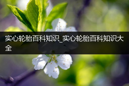 实心轮胎百科知识_实心轮胎百科知识大全