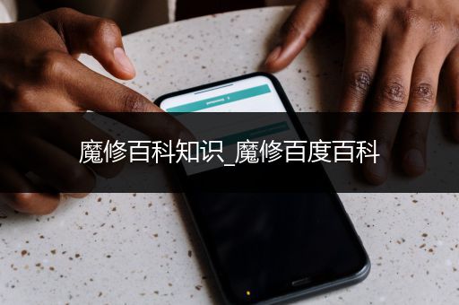 魔修百科知识_魔修百度百科