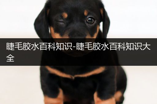睫毛胶水百科知识-睫毛胶水百科知识大全