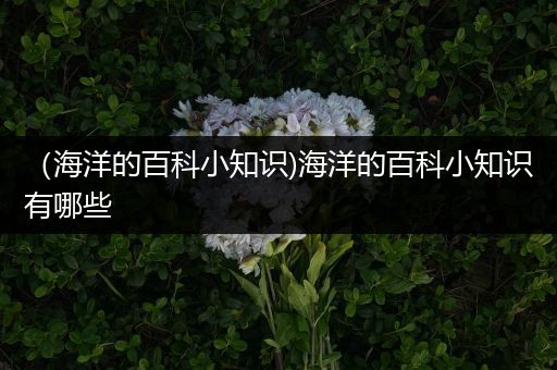 （海洋的百科小知识)海洋的百科小知识有哪些