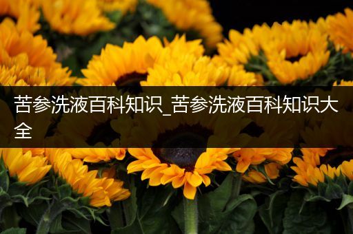 苦参洗液百科知识_苦参洗液百科知识大全