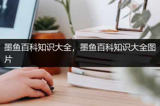 墨鱼百科知识大全，墨鱼百科知识大全图片