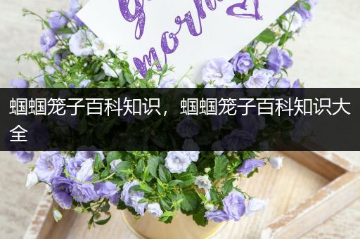 蝈蝈笼子百科知识，蝈蝈笼子百科知识大全