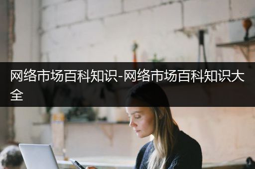 网络市场百科知识-网络市场百科知识大全
