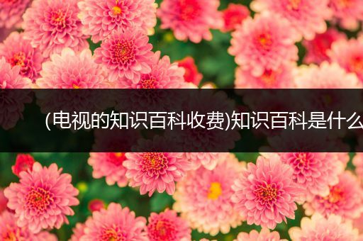 （电视的知识百科收费)知识百科是什么