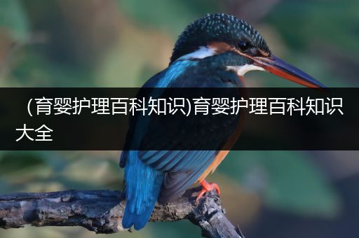（育婴护理百科知识)育婴护理百科知识大全