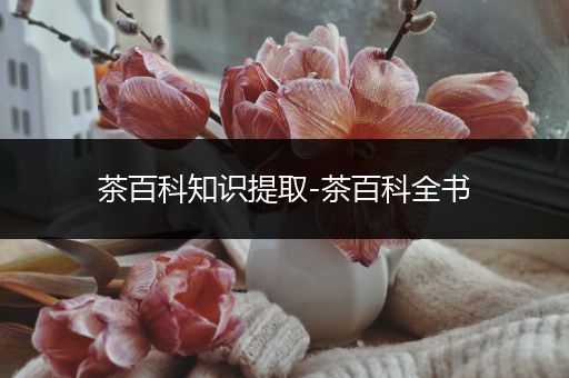 茶百科知识提取-茶百科全书
