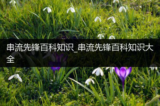 串流先锋百科知识_串流先锋百科知识大全