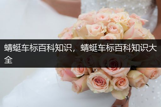 蜻蜓车标百科知识，蜻蜓车标百科知识大全