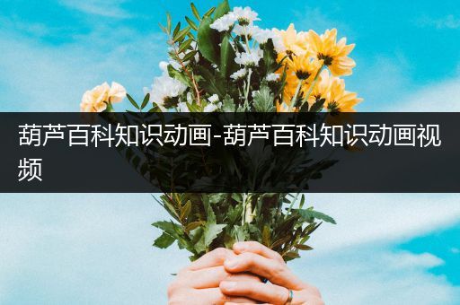 葫芦百科知识动画-葫芦百科知识动画视频